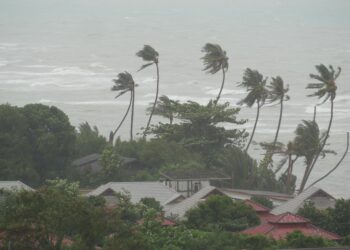 Pabuk typhoon, ocean sea shore, Thailand. Natural disaster, eyewall hurricane. Strong extreme cyclone wind sways palm trees. Tropical flooding rain season, heavy tropical storm weather, thunderstorm - Meteo: l’alta pressione sta per andarsene, che cambiamento!