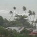 Pabuk typhoon, ocean sea shore, Thailand. Natural disaster, eyewall hurricane. Strong extreme cyclone wind sways palm trees. Tropical flooding rain season, heavy tropical storm weather, thunderstorm - NOAA: quanto è probabile un nuovo episodio di La Niña?