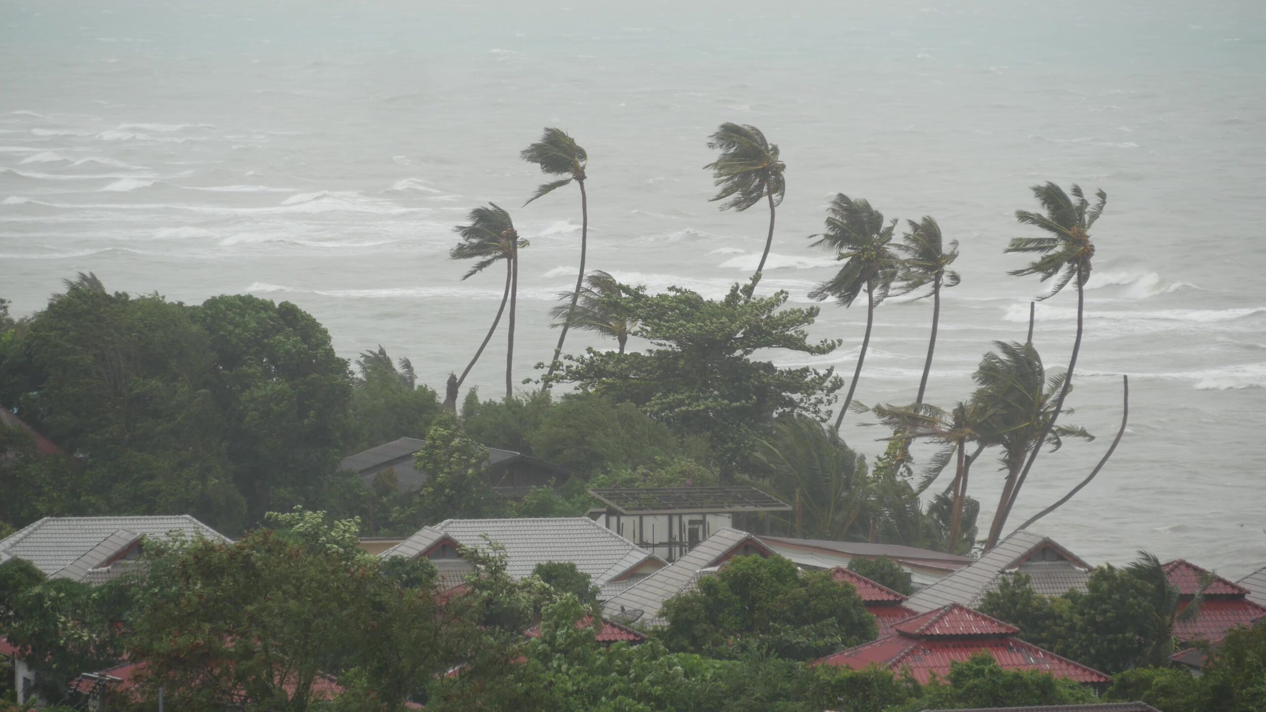 Meteo estremo: 800.000 evacuati in Bangladesh e India per tifone