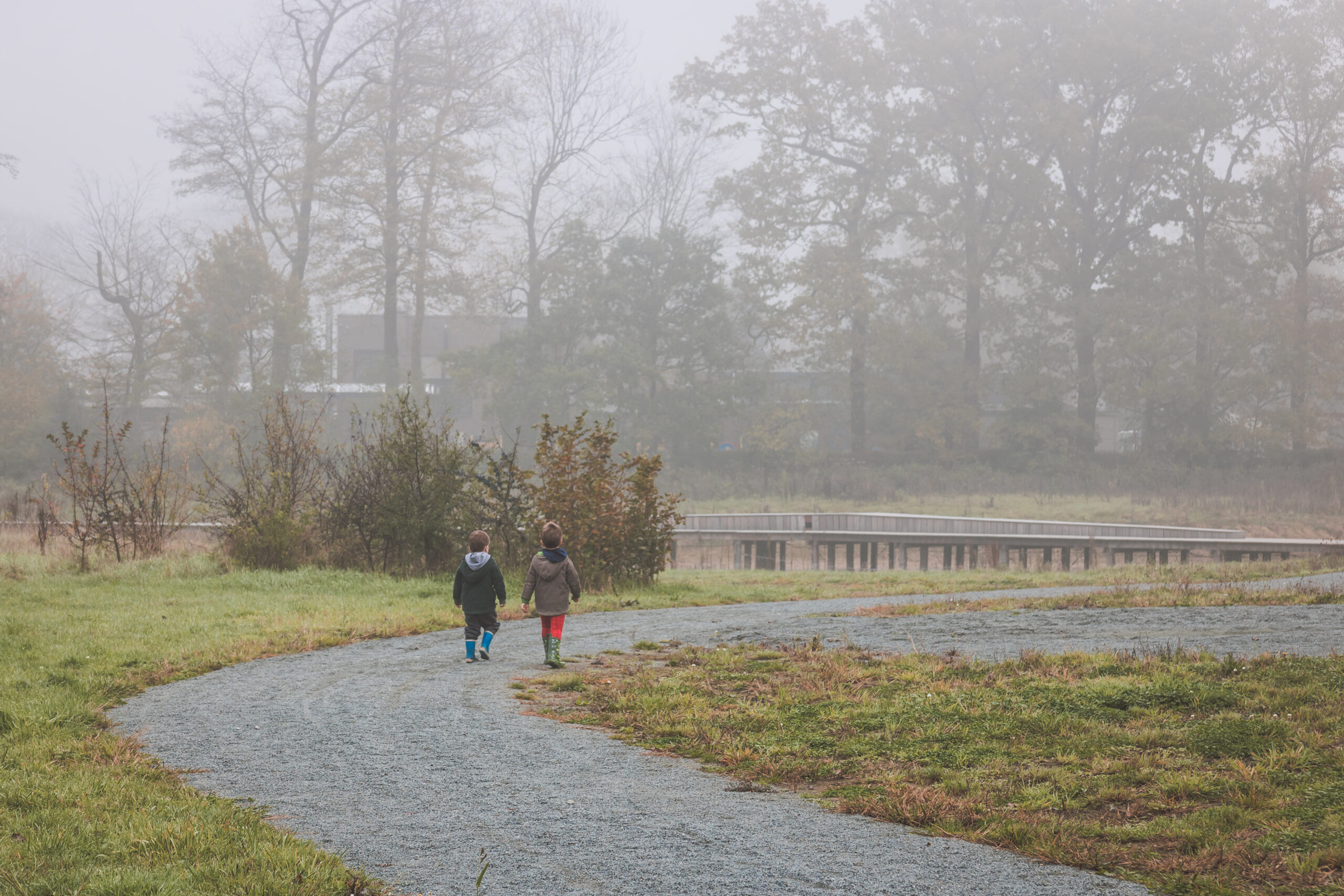 Meteo: dopo il freddo, la nebbia ritorna su queste regioni