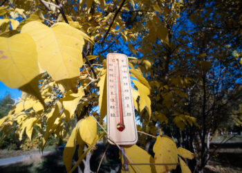 Thermometer on background autumn landscape. Thermometer on background autumn leaves. - Tropicalizzazione del Mediterraneo: meteo e clima completamente cambiati