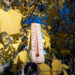 Thermometer on background autumn landscape. Thermometer on background autumn leaves. - Meteo, burrasche con venti fino a 100 km/h assediano l’Italia