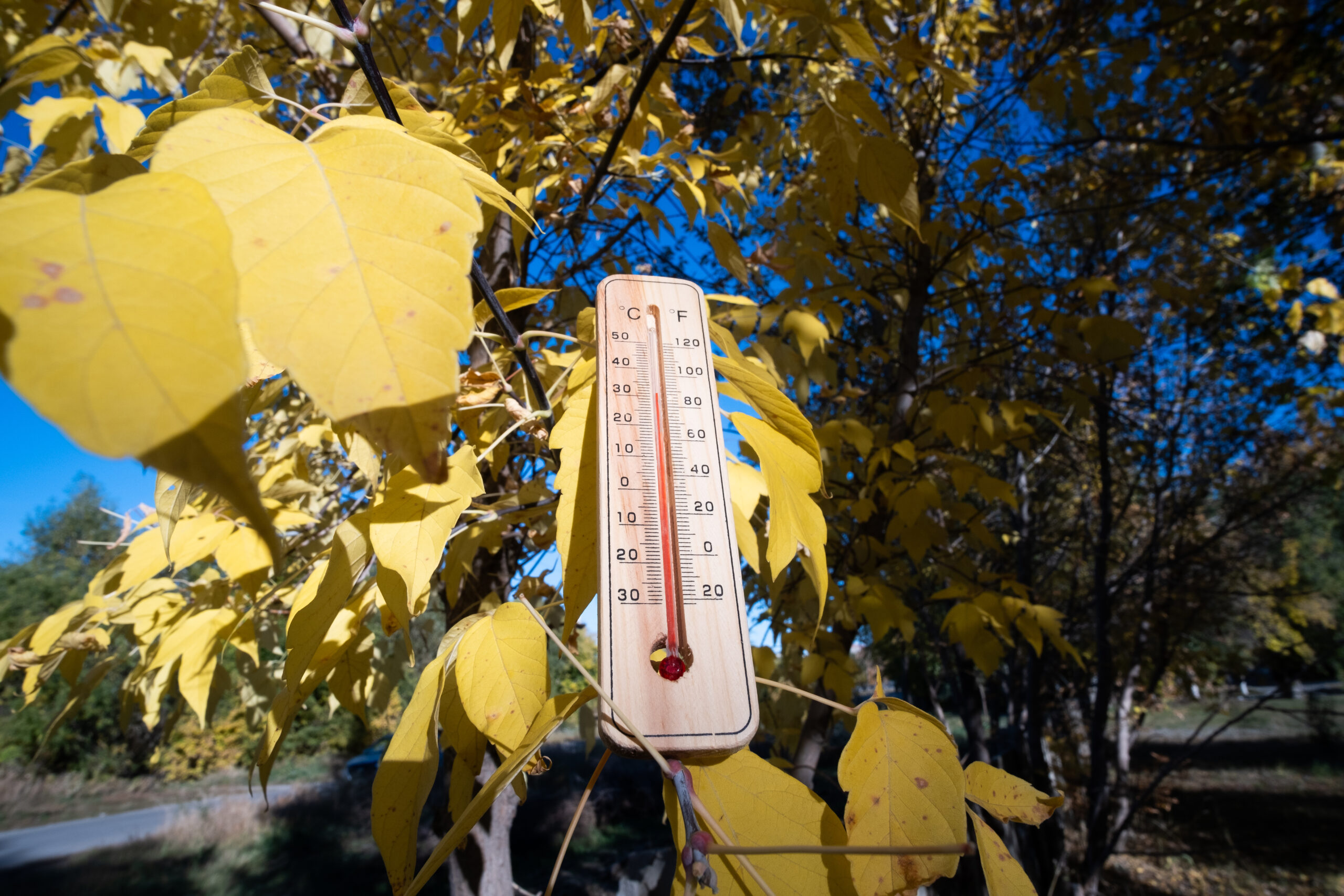 Caldo di fine estate? Il meteo di novembre rimane coerente