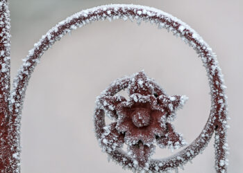 Close-up of frost particles on a metal fence. Winter scene. - Dicembre prepara il terreno per il vero meteo invernale