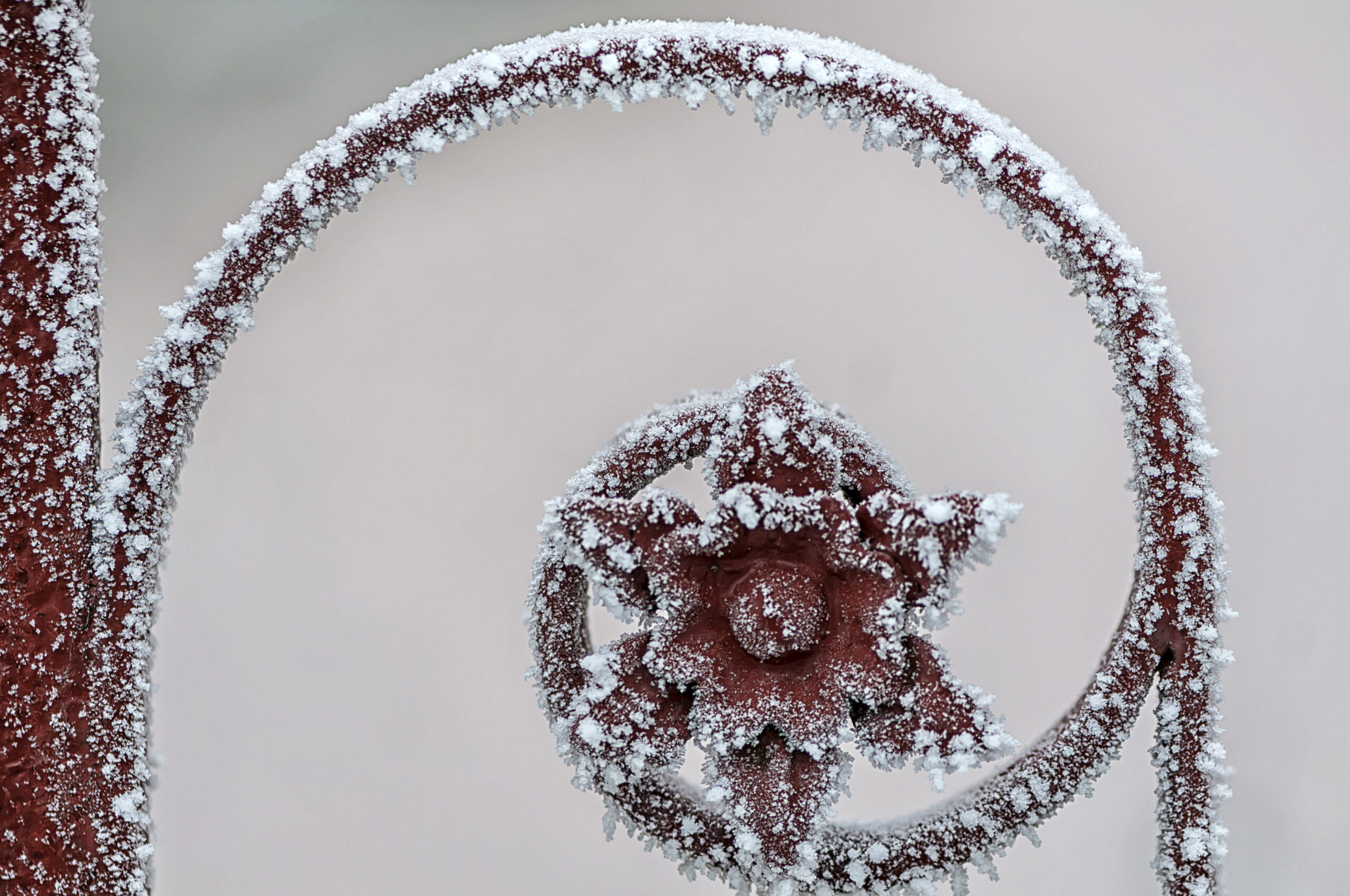 198 scaled - Dicembre freddo o mite? Il meteo legato al vortice polare