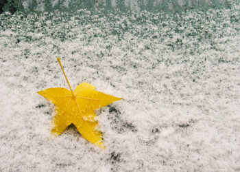 Car window with snow covered and autumn maple leaf - Caldo in arrivo, fino a 25°C in queste regioni a breve