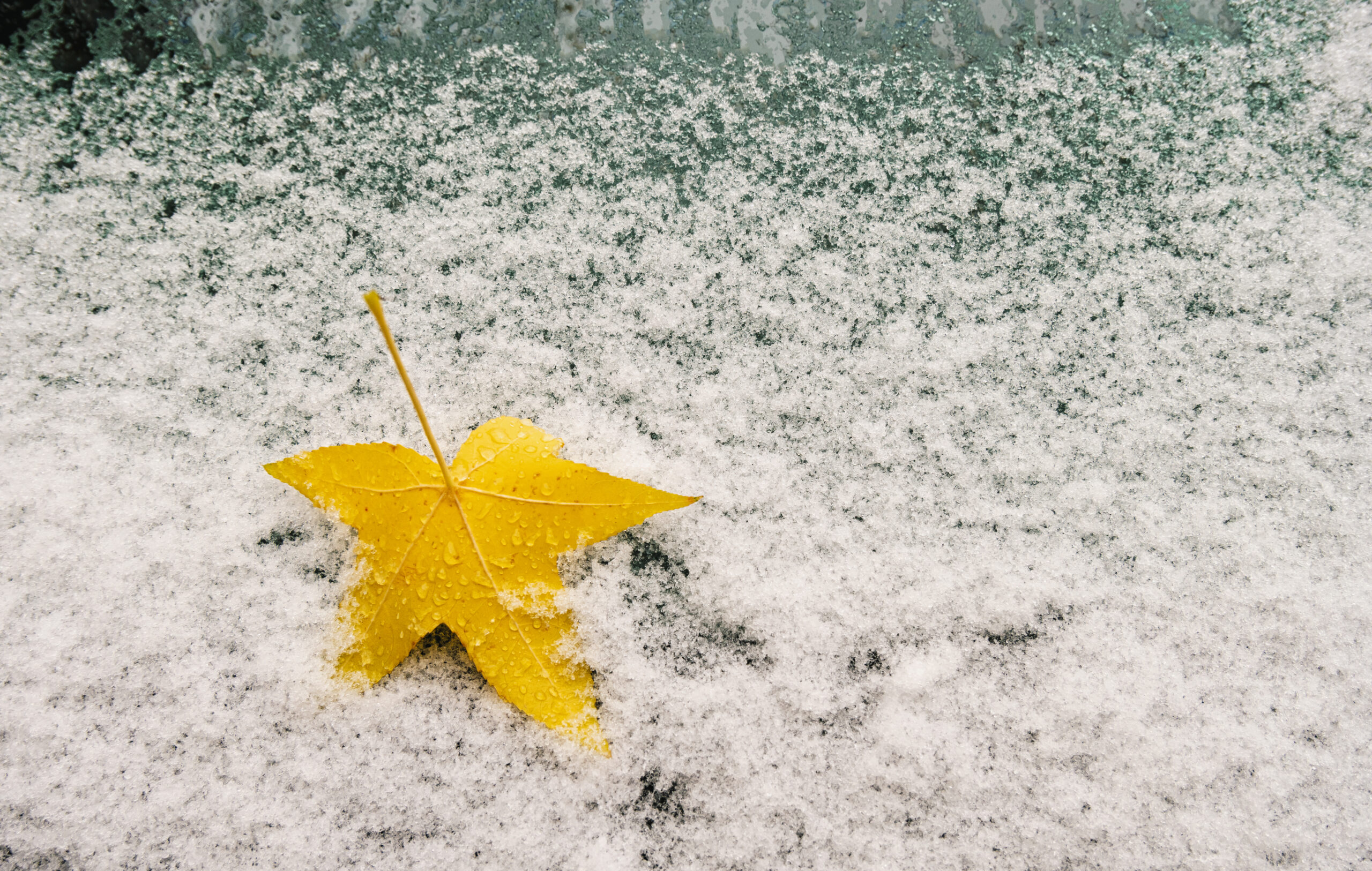 Meteo: venti freddi, calo delle temperature e neve, ecco dove