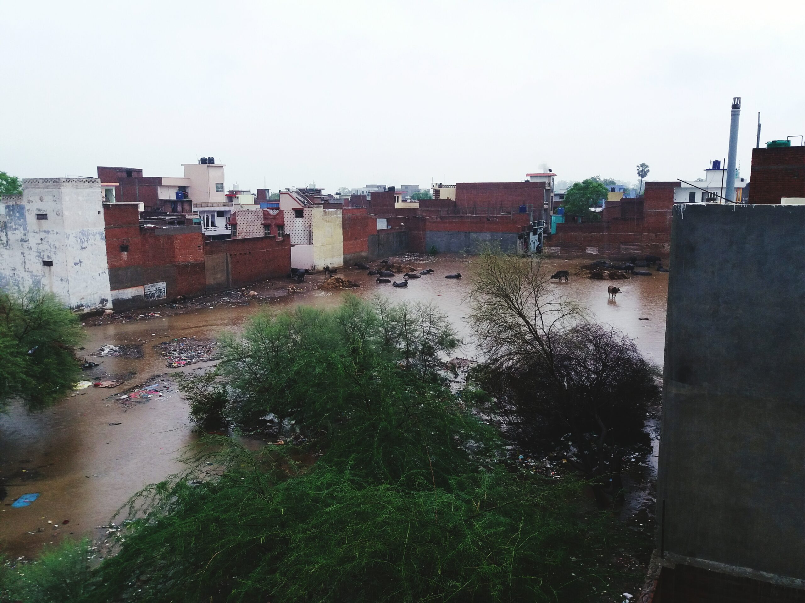 Meteo disastroso in India: 53 gradi e molte vittime, ma c’è un altro problema