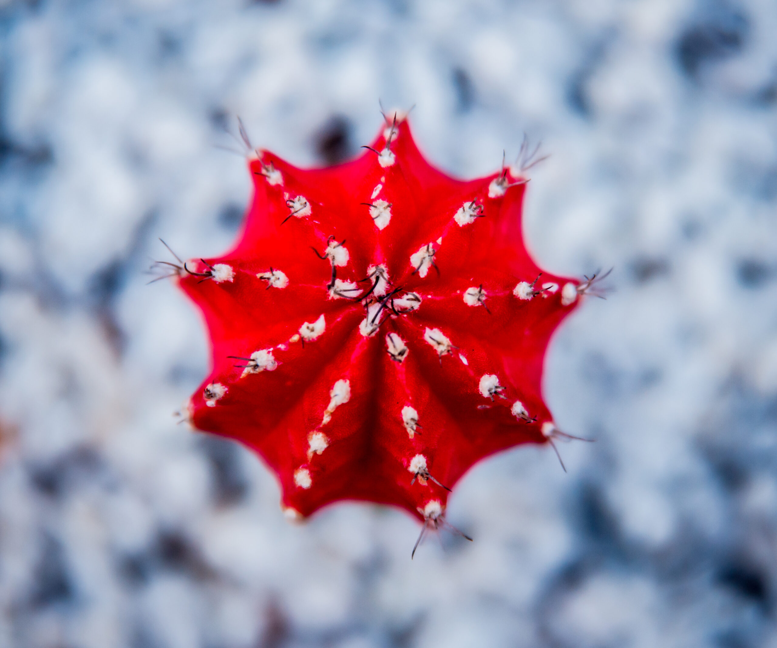 dicembre-con-meteo-instabile