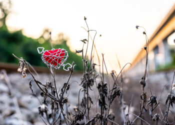 Red heart on the hay beside the train - Meteo, osservazione su Atlantico e Caraibi: nuovi uragani in arrivo?