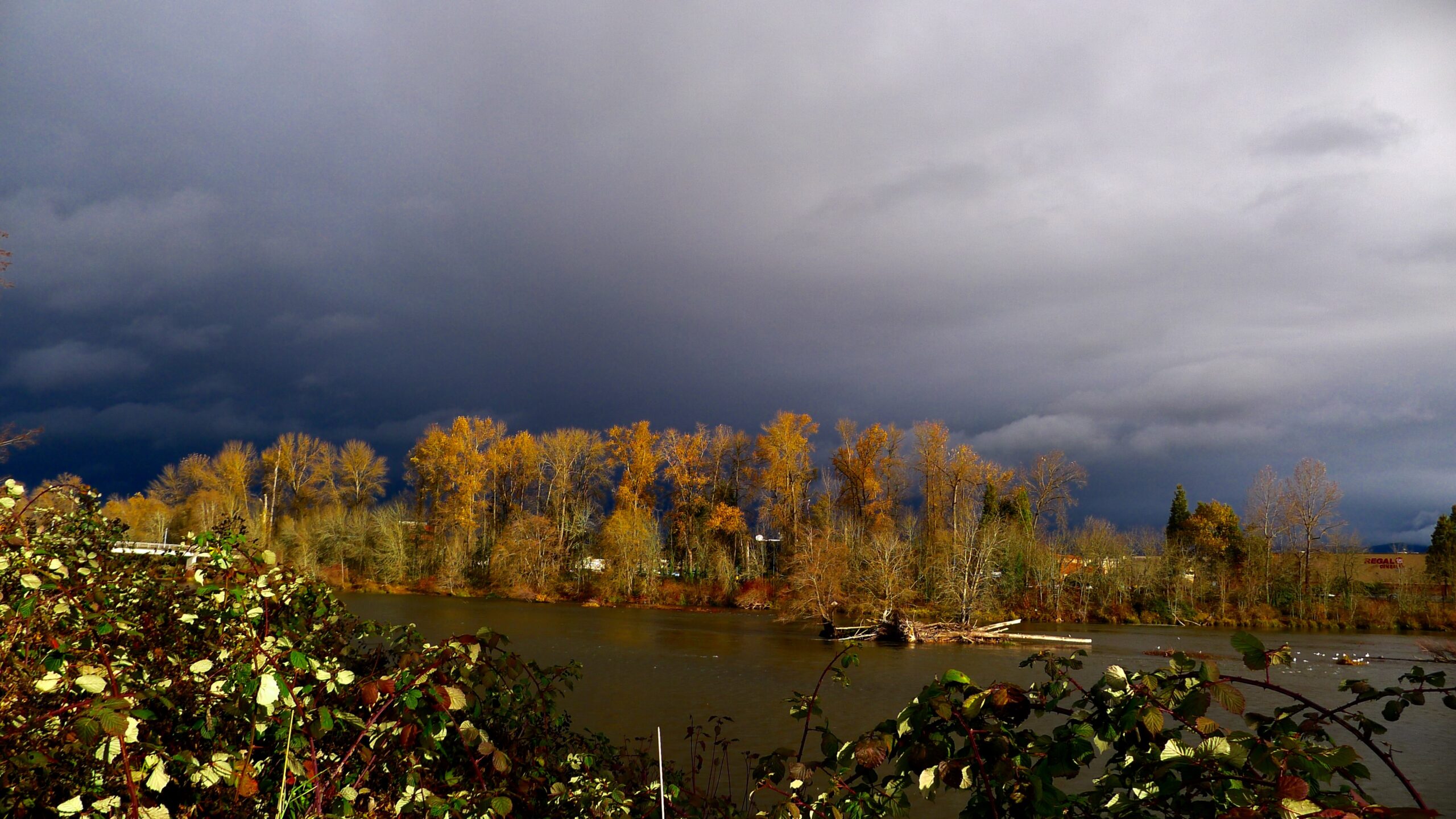 22543254 2 scaled - Meteo: tempesta di Libeccio colpirà duramente queste regioni