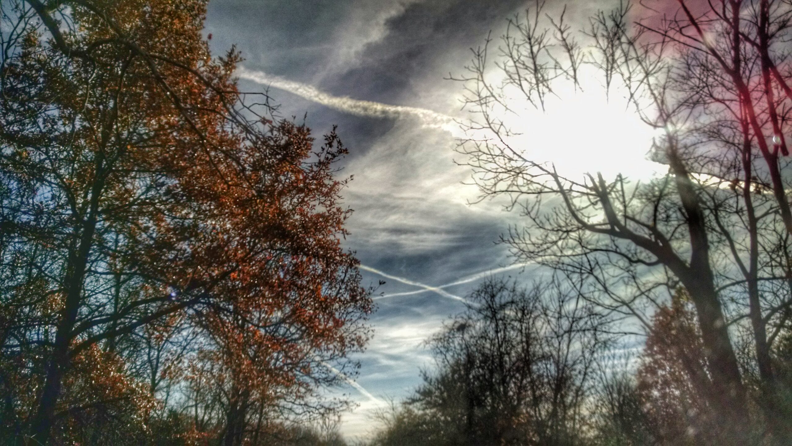 meteo:-oscillazioni-termiche-e-un-finale-di-novembre-sorprendente?