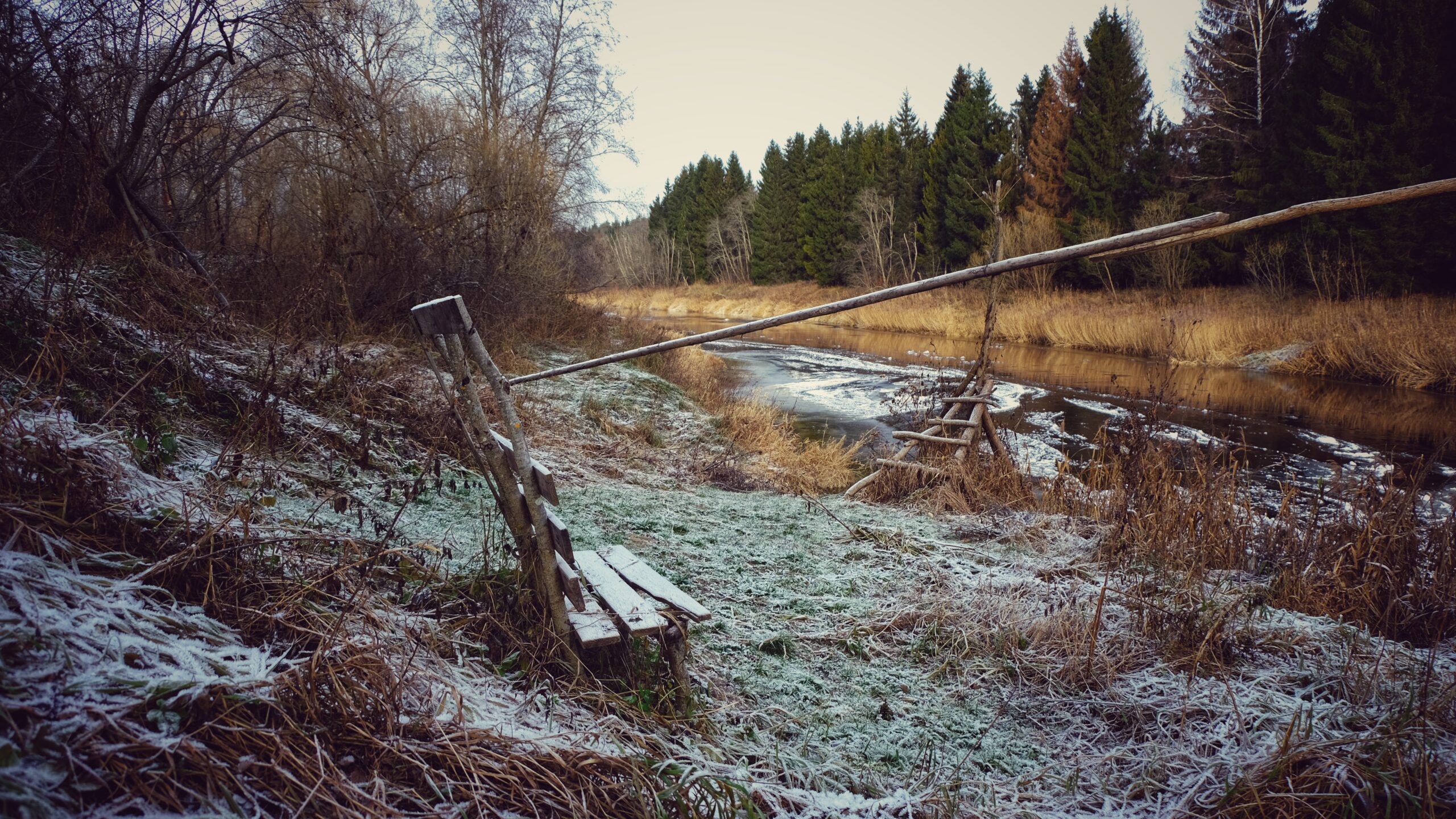 incubo-di-nebbie-invernali,-meteo-inquinato-con-gravi-conseguenze