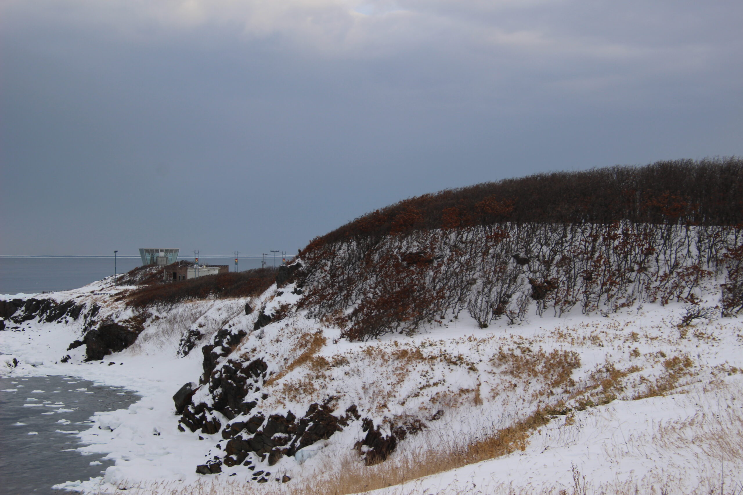 meteo,-freddo-balcanico:-neve-sulle-coste-adriatiche-anche-a-bassa-quota