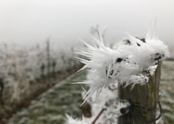 25766680 - Meteo: ritorno dell’anticiclone e del sole, vi diciamo quando