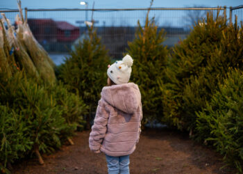 little girl choosing christmas tree at market - Arrivano 3 perturbazioni: maltempo previsto al Nord e Centro Italia