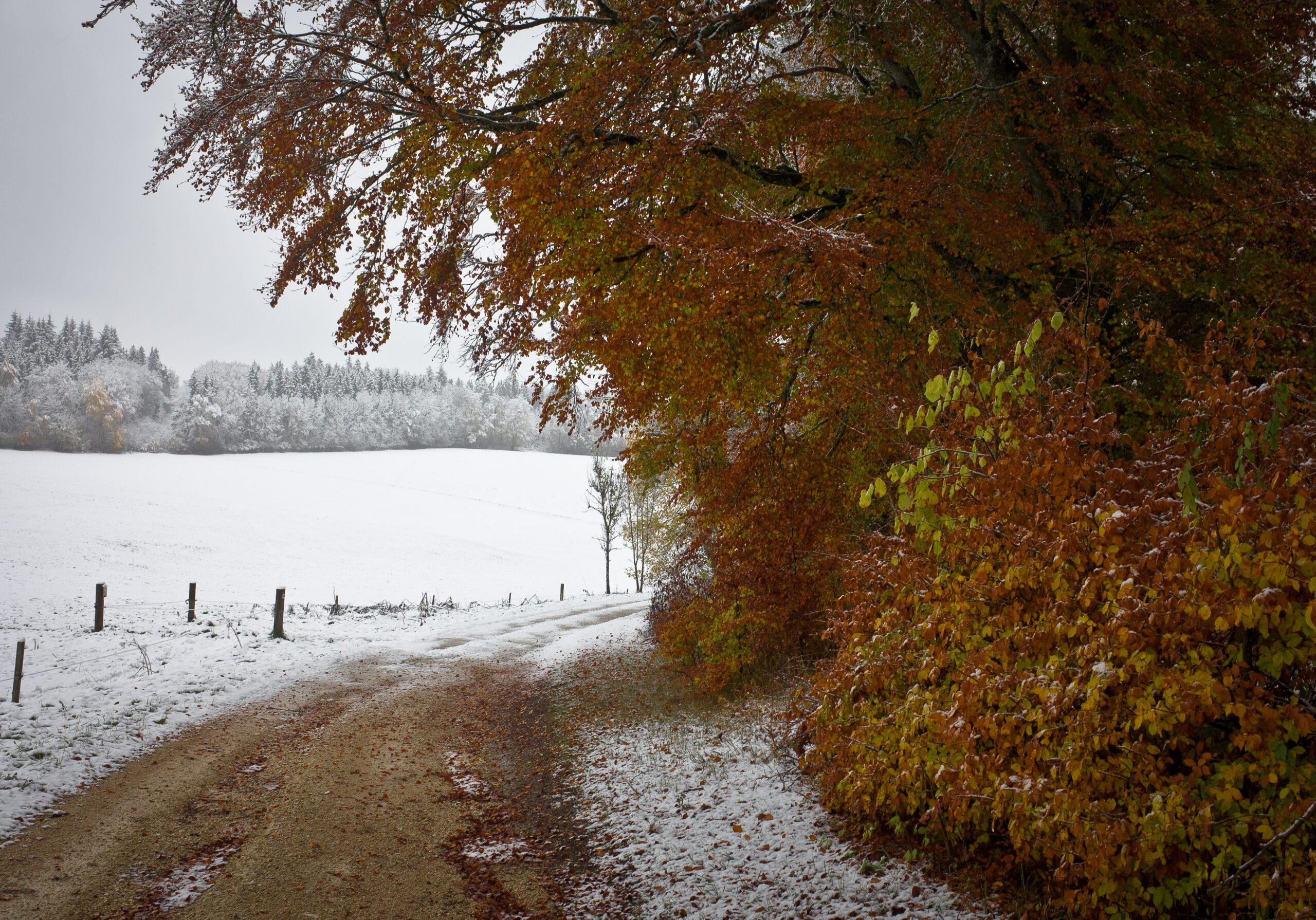 Meteo: freddo e neve su metà Europa, l’autunno si intensifica