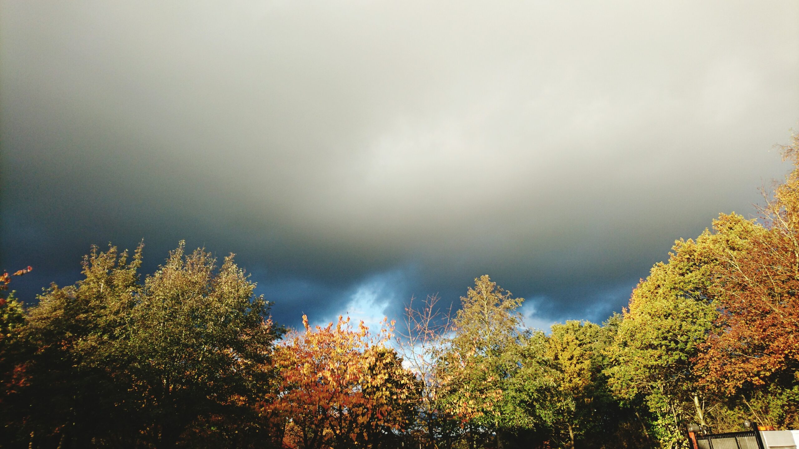 29378292 1 scaled - Meteo: nubi, piogge, sole e freddo da est! Novembre impetuoso