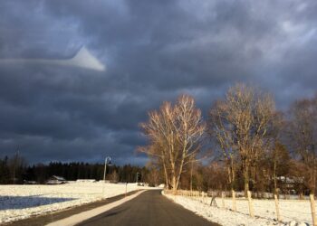 30252558 - Meteo, novembre inganna: calore anomalo a 24°C poi ritorna l’inverno