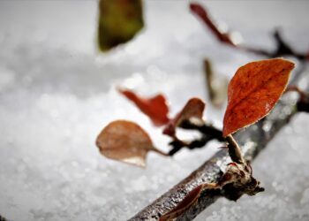 30468917 - Meteo: settimana inizia mite e instabile, poi ritorna il freddo