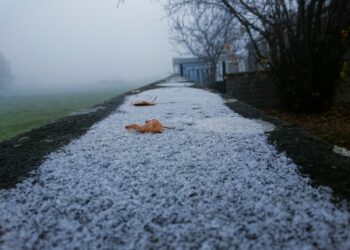 30551090 - Tendenza meteo: calo termico nella prima settimana di inverno?