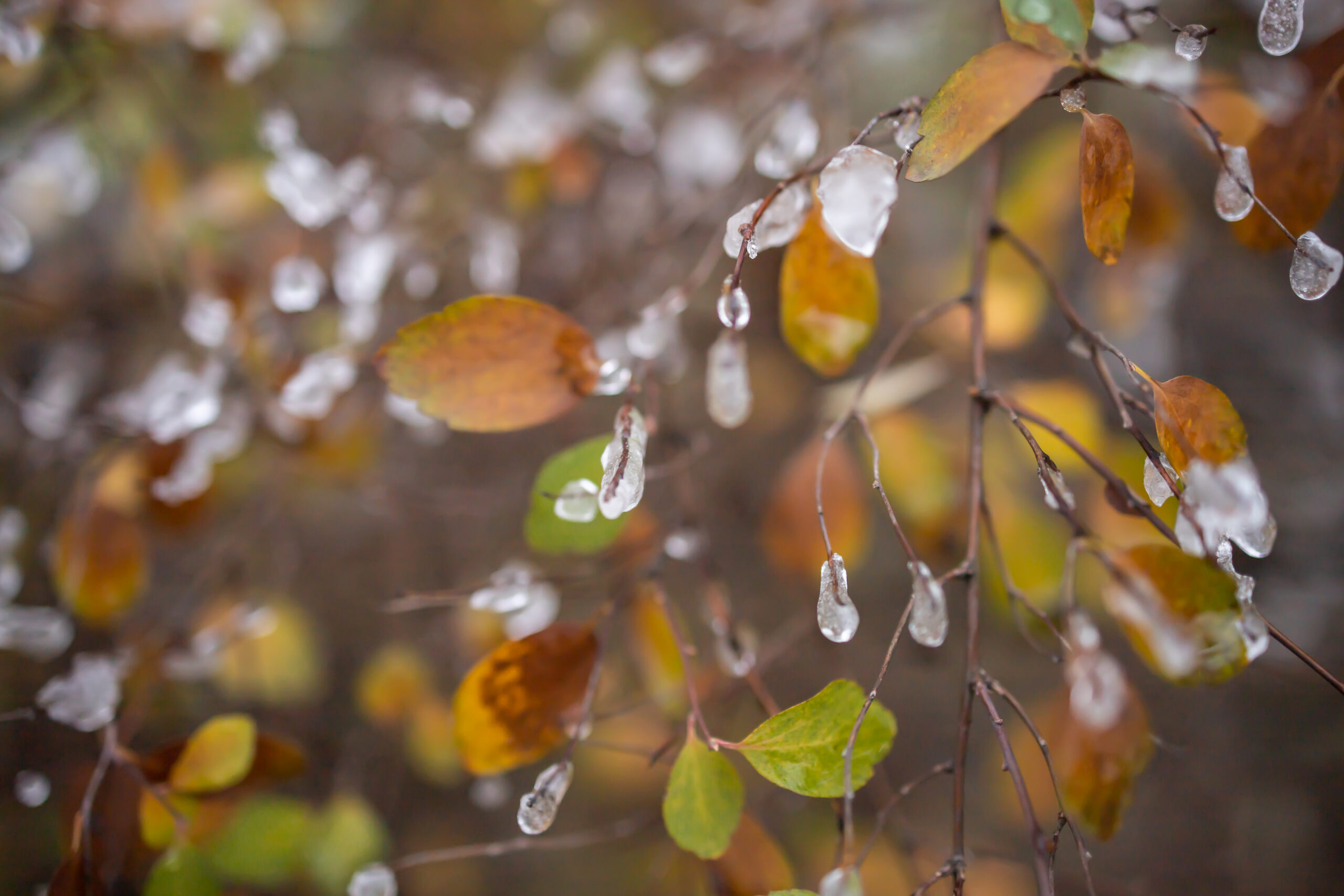 Tendenza meteo: confermato il periodo più freddo e piovoso dal 18 al 25 novembre?