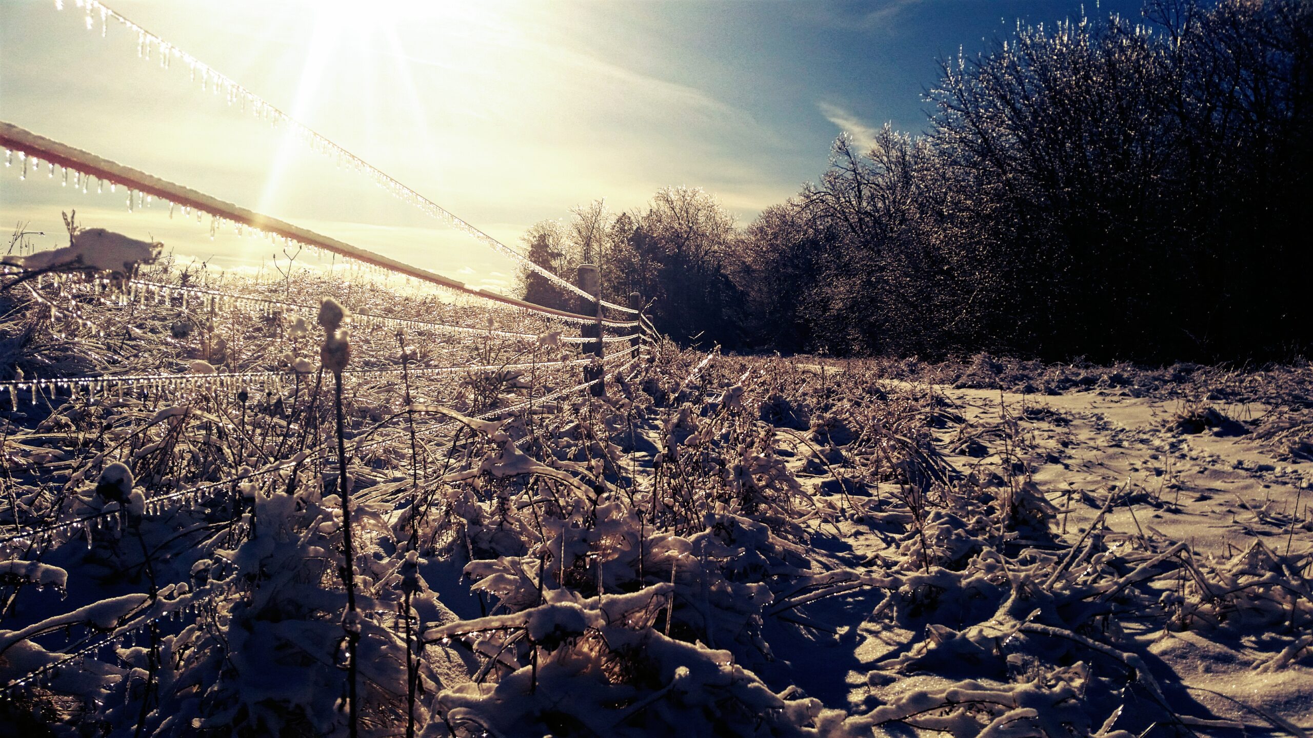 Cambio climatico ferma l’inverno. Ma no