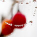 The spider web with dew drops. Abstract background - Meteo: il ritorno del freddo dalla Russia