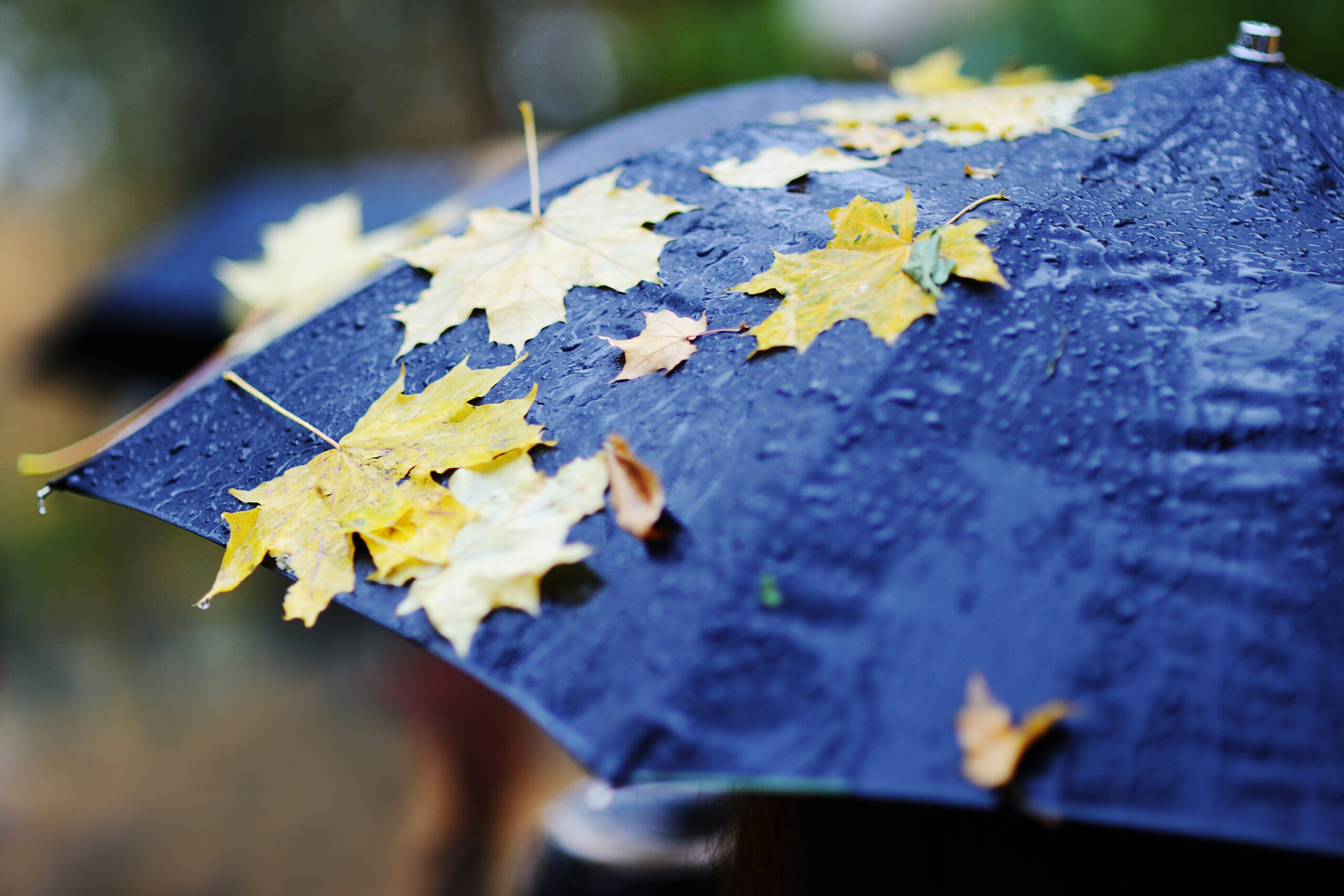 Meteo: clima mite per tre giorni, dal 20 novembre il cambiamento