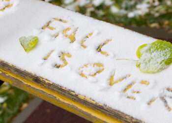 Winter has arrived - Meteo: temperature sopra la media, ma non per tutti