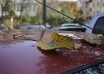 Fallen yellow leaves on the windshield and on the hood of a parked red car. - Meteo: temperature sopra la media, ma non per tutti