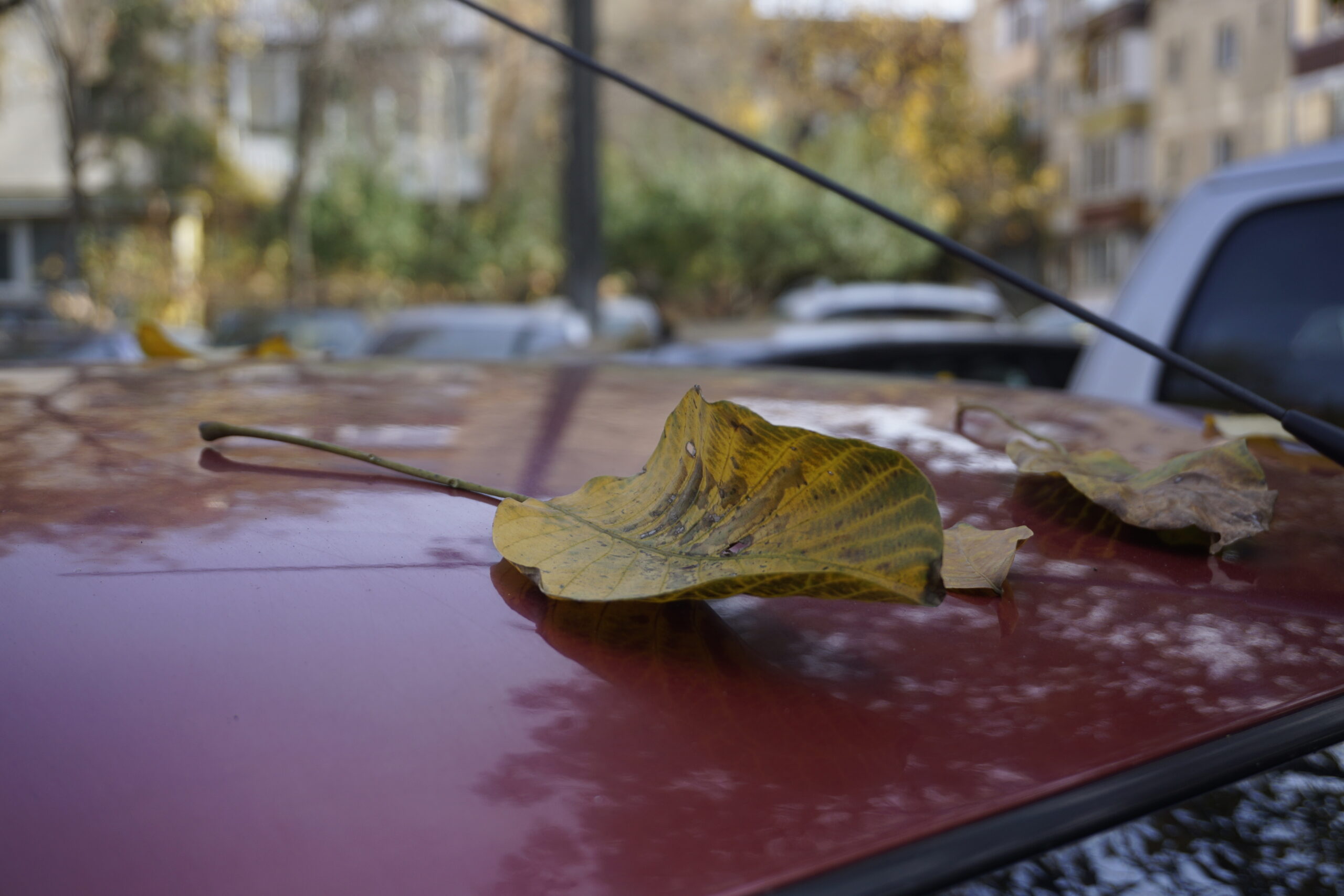 481738 scaled - Meteo: Disturbo in transito, ritorno all’autunno, quanto durerà?