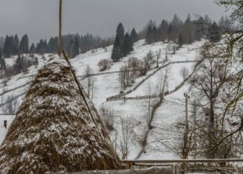 4828818 - Meteo: un anticiclone chiuderà novembre? Ecco gli ultimi aggiornamenti