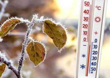 The thermometer near the frost-covered branch with leaves shows - Previsioni meteo: neve a bassa quota, regioni più a rischio nei prossimi giorni