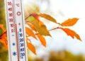 The thermometer near the branch with autumn leaves shows 15 degr - DIRETTA METEO, News Meteo, Previsioni Meteo, Viaggi