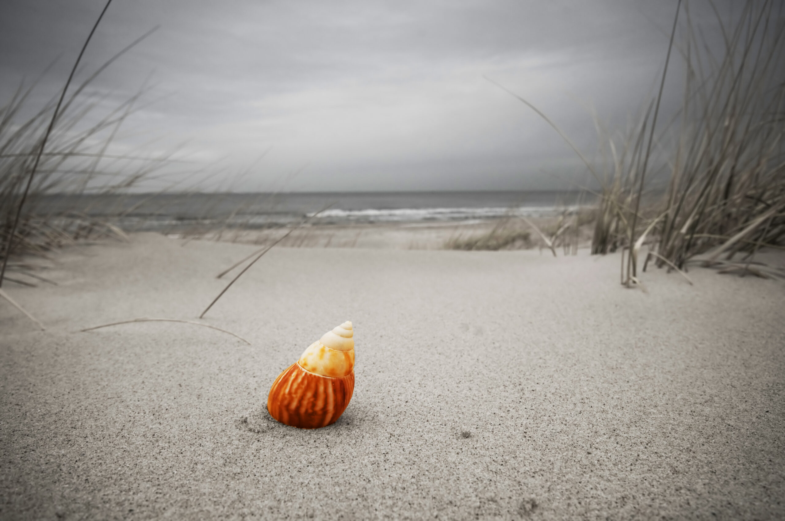 Novembre al mare: il clima non dimentica questo disastro