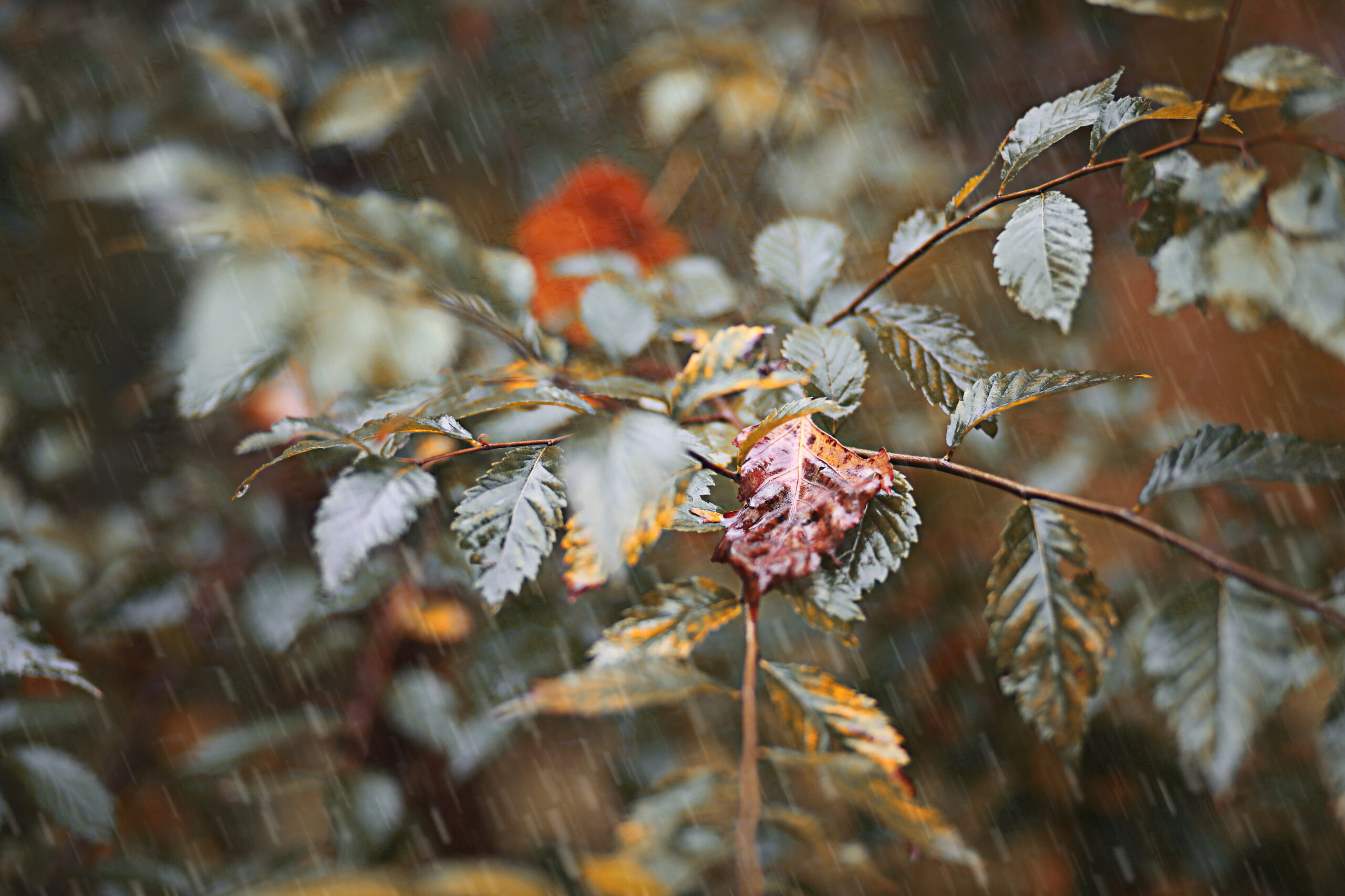 Meteo prossima settimana: ancora pioggia e neve, arriva l’inverno