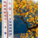 Thermometer on the background of an autumn tree with yellow leav - Poca neve in montagna a causa del meteo anomalo