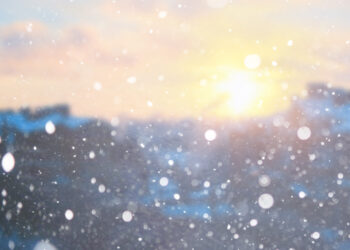 Blurred snow background. Winter landscape. Trees and plants cove - Meteo, novembre inganna: calore anomalo a 24°C poi ritorna l’inverno