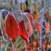 8779072 - Caldo di fine estate? Il meteo di novembre rimane coerente