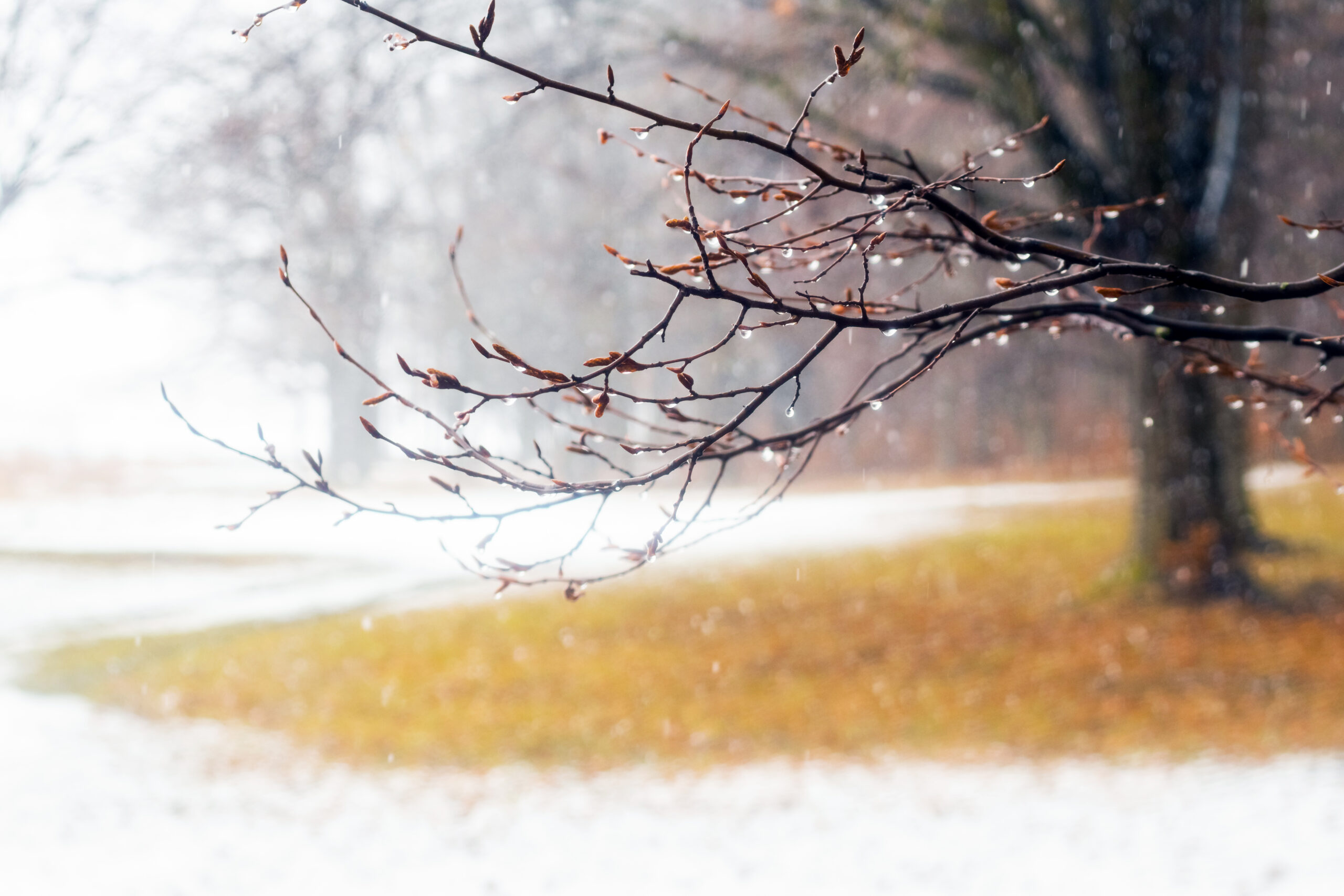 9254 scaled - Meteo: la prima settimana di dicembre dinamica e invernale