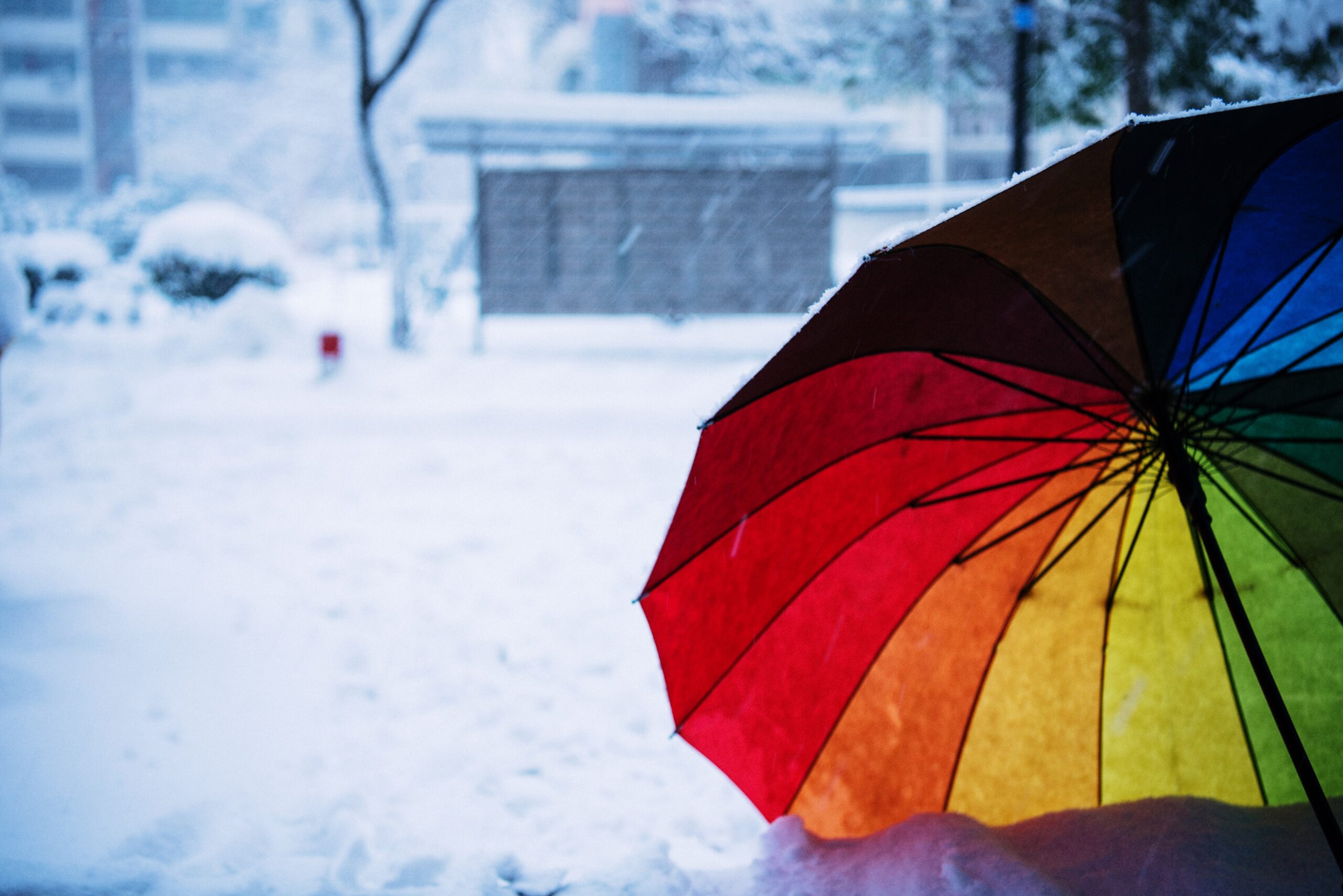 I motivi del meteo compromesso tra gennaio e febbraio