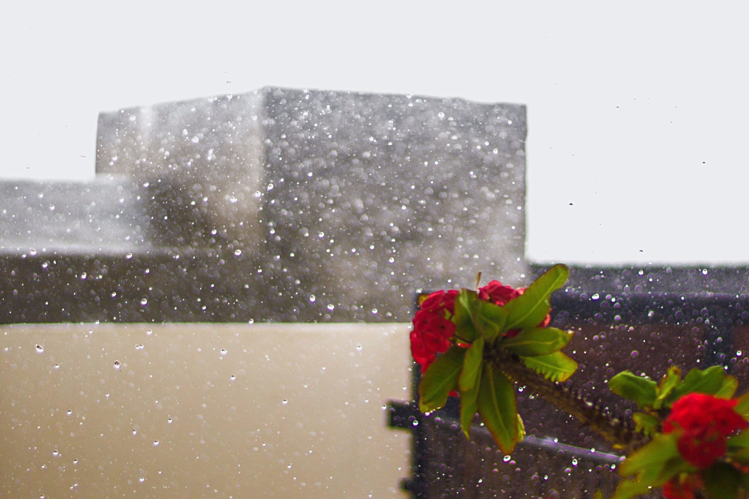 Meteo Italia: non solo pioggia e neve, ma anche vento fortissimo!