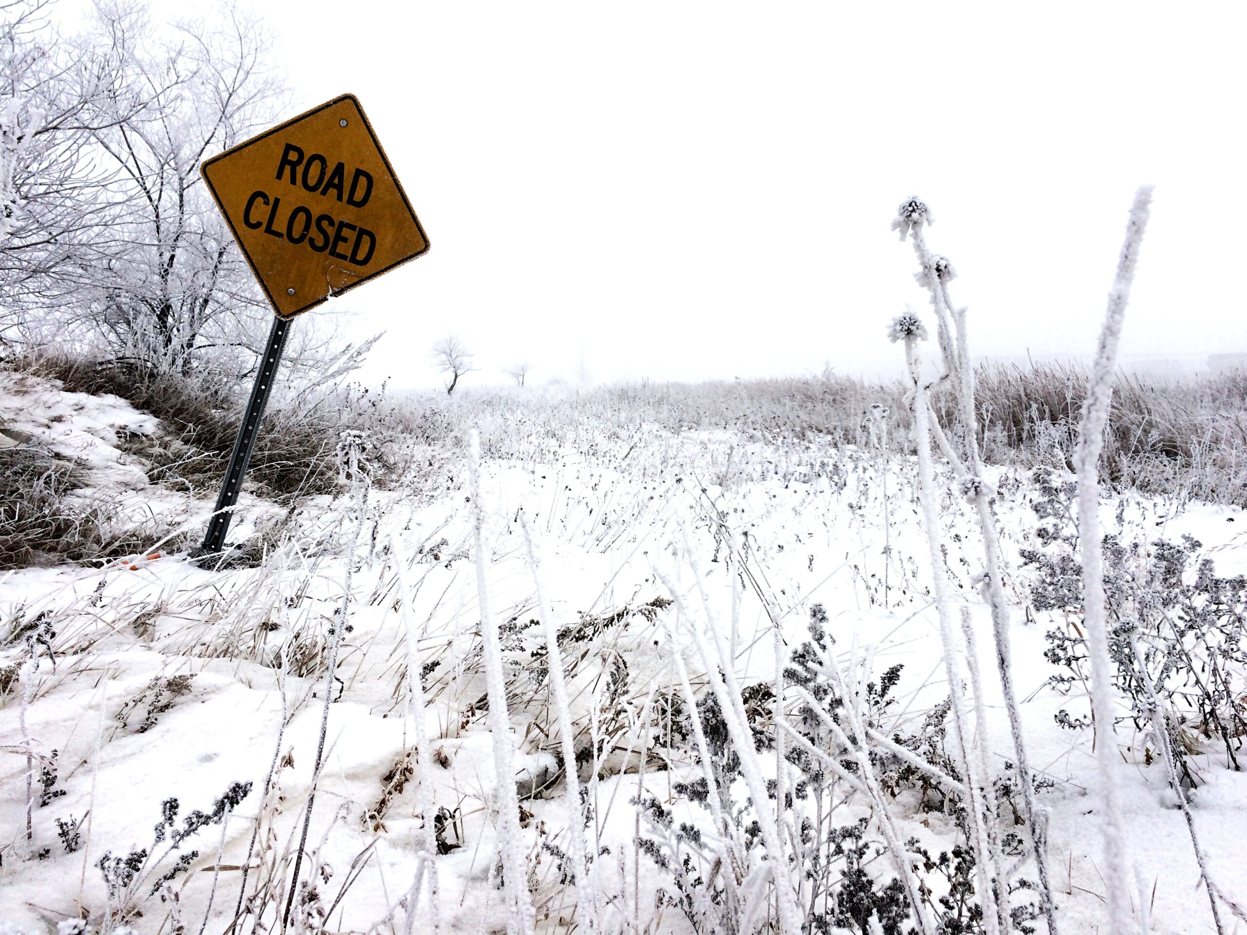 1443201 1 scaled - Meteo: neve prevista a bassa quota nel weekend, regioni a rischio