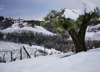 21009441 - Meteo: l’8 dicembre è la data cruciale, stravolgimento incredibile