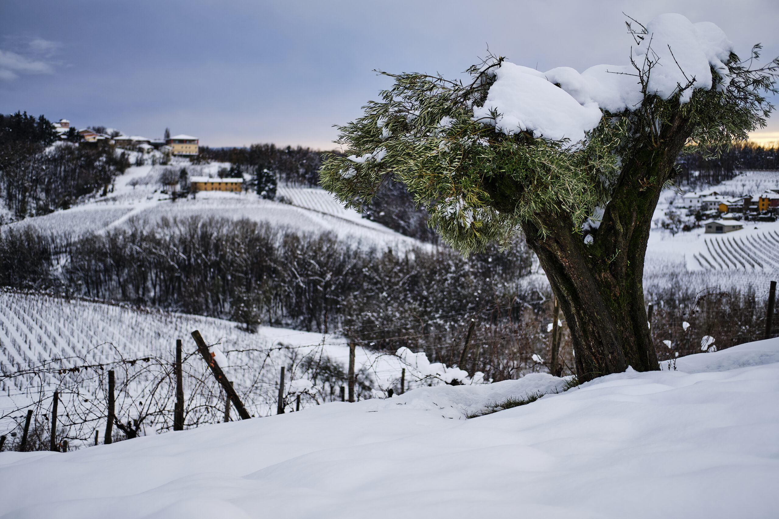 meteo:-forti-nevicate-in-arrivo-in-queste-regioni-italiane