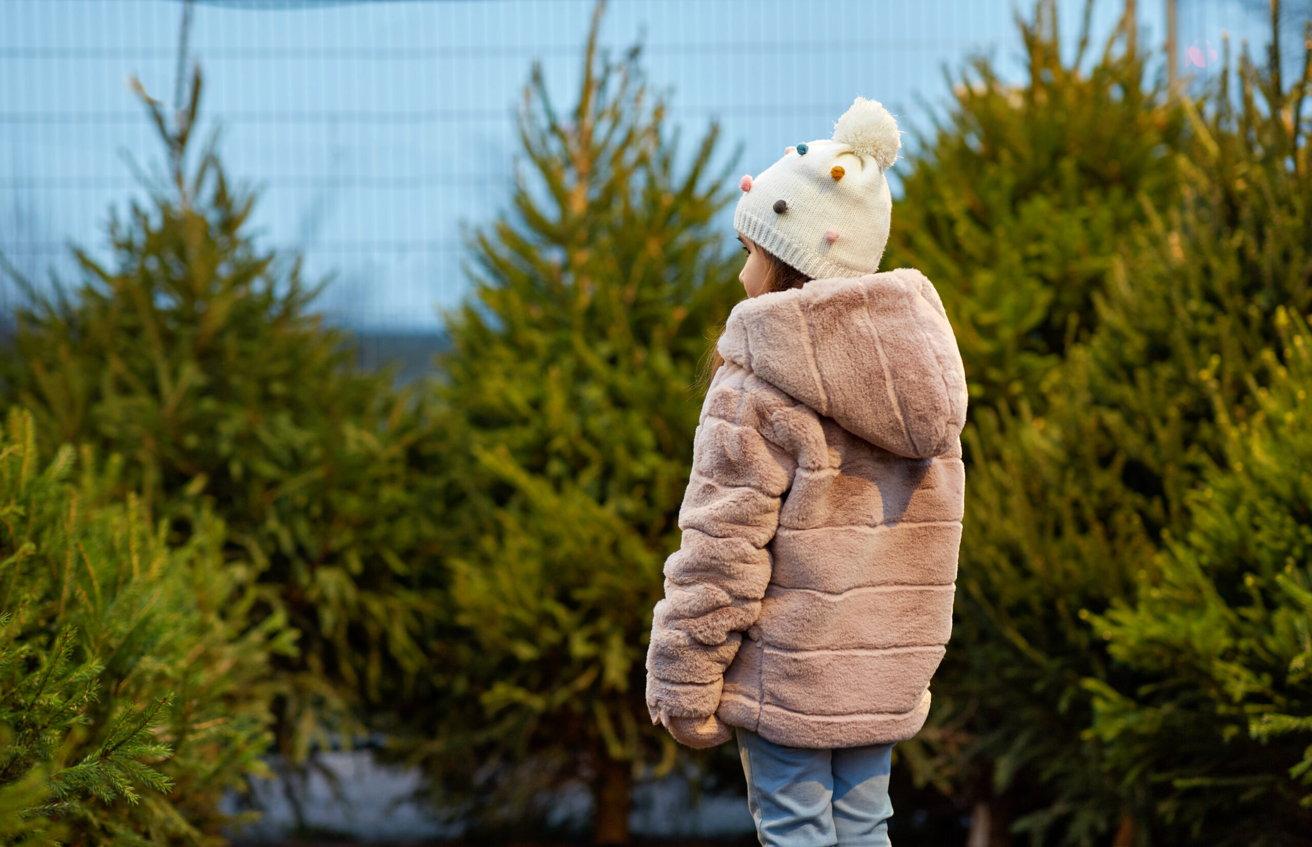 sotto-l’albero-di-natale-il-solito-meteo:-ecco-quale