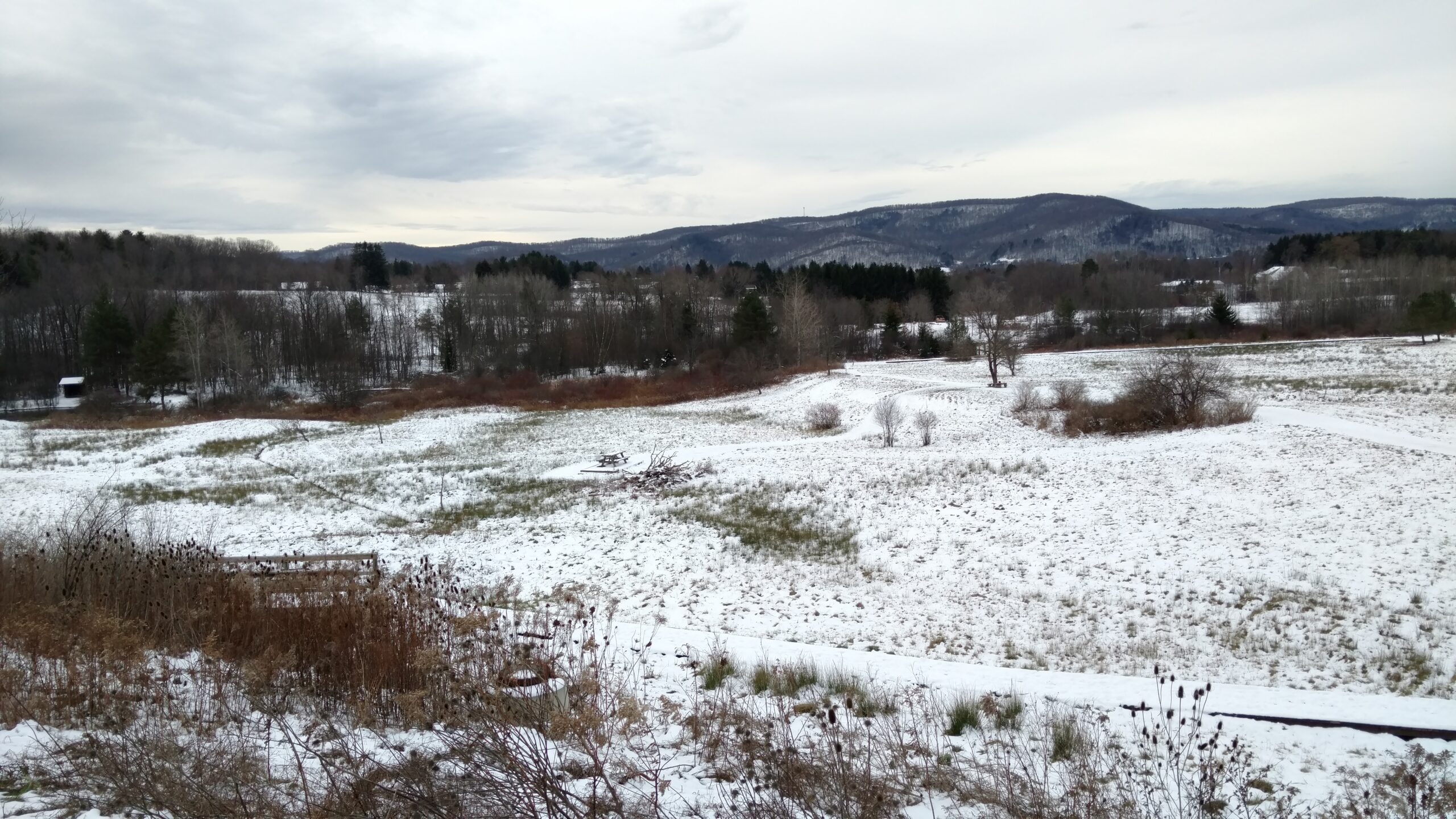 27729063 scaled - Meteo: tutto cambia! Neve in pianura in alcune regioni