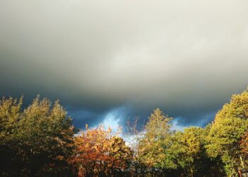 29378292 - Paradosso meteo: alta pressione ma cielo grigio e pioggia