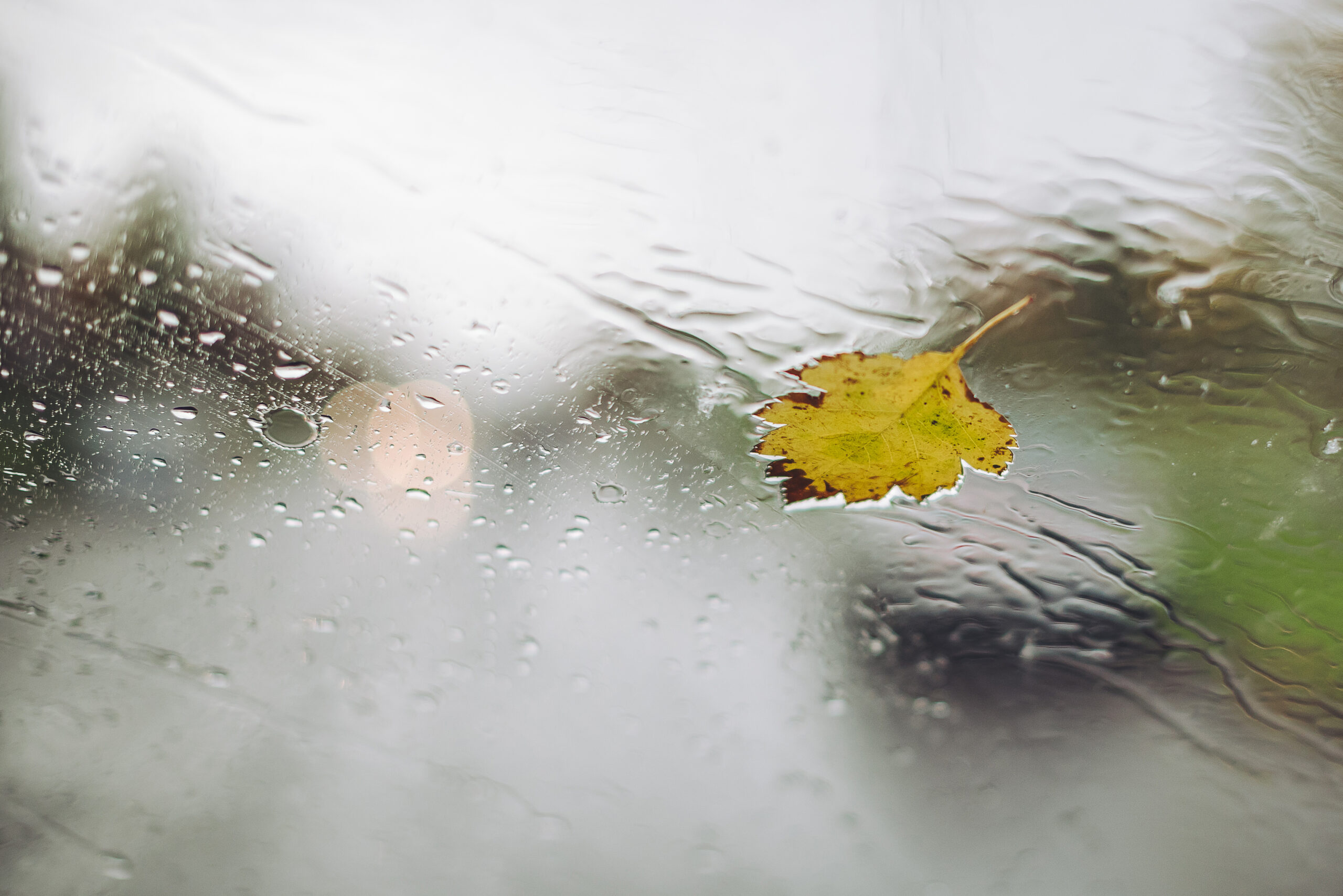 meteo:-continua-il-maltempo,-pioggia-tra-venerdi-13-e-sabato-14